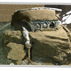 Illustration for article titled Sweet-Ass Four-Wheel 'Lamborghini' Chariot Discovered In Ruins Of Pompeii, Likely Ran When Parked